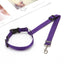 Explosive Pet Car Rear Seat Ring Safety Rope - Dog Hugs Cat