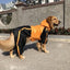 Large Dog Pet Raincoat - Dog Hugs Cat