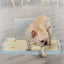 Dog Toilet Puppy Dog Supplies Teddy Dog Urinal Potty Golden Hair Puppies - Dog Hugs Cat