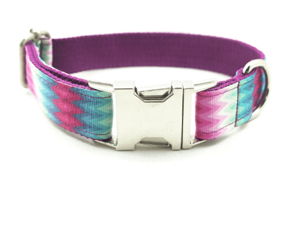 Personalized Design Dog Collar Pet Collar - Dog Hugs Cat