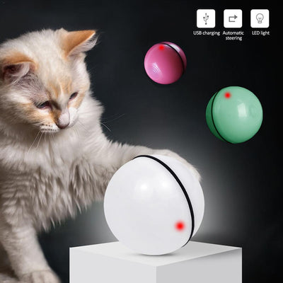 360° Interactive LED Cat Toy Ball - Dog Hugs Cat