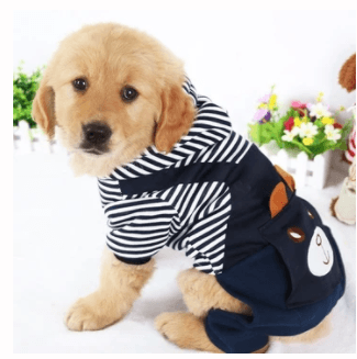 Rabbit Pet Costume - Dog Hugs Cat