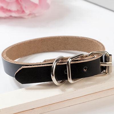 Leather Dog Collar Dog Chain - Dog Hugs Cat