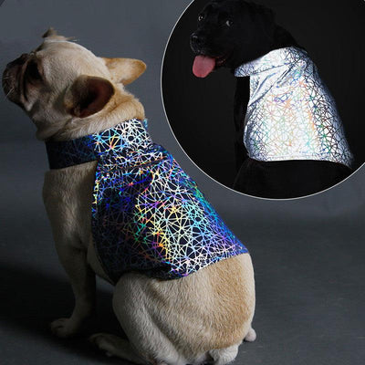 Reflective Pet Clothing - Dog Hugs Cat