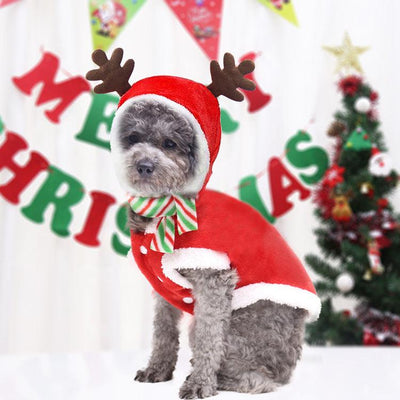 Christmas Poppy Dog Costume Santa Elk Winter Cute Christmas Tree Lovely Deer Sweater - Dog Hugs Cat