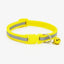 Fluorescent Dog Collar - Dog Hugs Cat