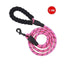 Small Medium Sized Pet Dog Luminous Leash Chain Puppies - Dog Hugs Cat