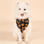 Halloween Double-Sided Saliva Towel Pet Accessories - Dog Hugs Cat