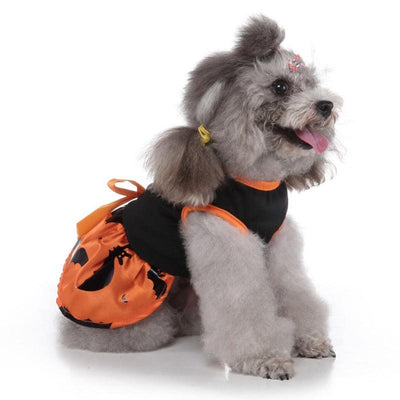 Halloween Pet Supplies Dog Clothes Wizard Dress - Dog Hugs Cat