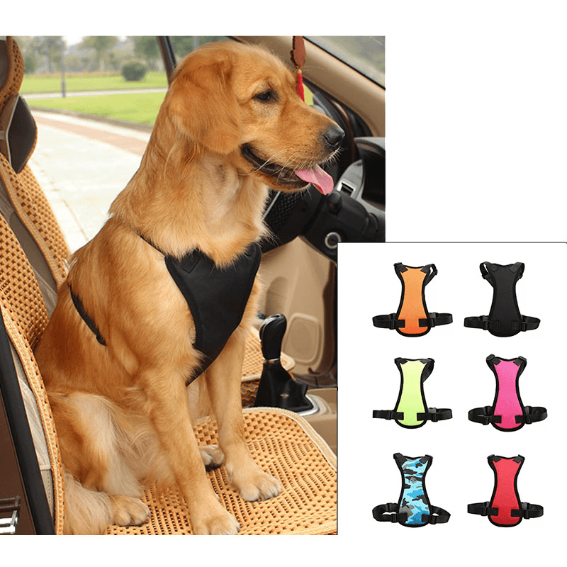 Car Seat Belts For Pets - Dog Hugs Cat