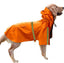 Spring And Summer New Dog Raincoat Waterproof Cape Dog Reflective Raincoat Large Dog Raincoat - Dog Hugs Cat