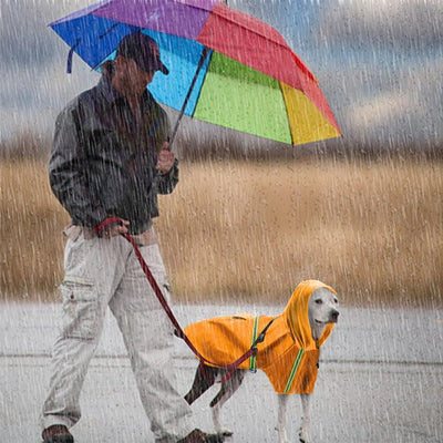 Spring And Summer New Dog Raincoat Waterproof Cape Dog Reflective Raincoat Large Dog Raincoat - Dog Hugs Cat