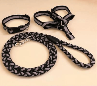 Pet Dog Leash - Dog Hugs Cat