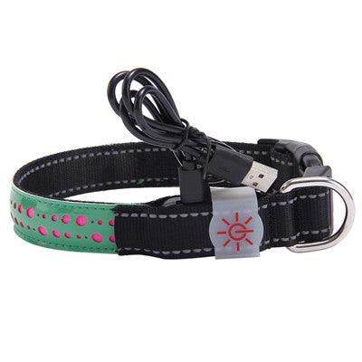 Led Light Collar Pet Collar - Dog Hugs Cat