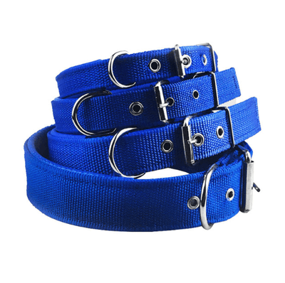 Nylon Foam Leather Pet Collar Collar 3 Color Dog Collar Sponge Pet Supplies Traction - Dog Hugs Cat