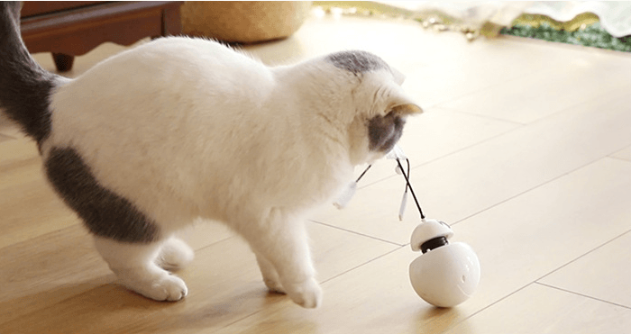 Cat Toy Funny Cat Toy Three In One Robot Tumbler Laser Cat Toy - Dog Hugs Cat