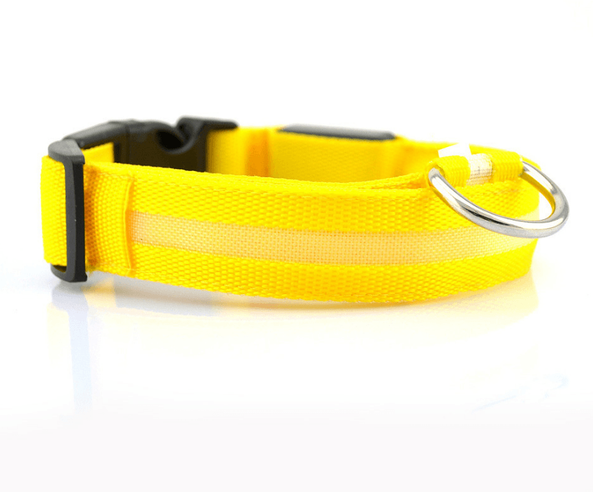 Nylon Led Pet Dog Luminous Collar Night Safety Flashing Glow In Dark Dog Cat Leash Adjustable Pet Supplies - Dog Hugs Cat