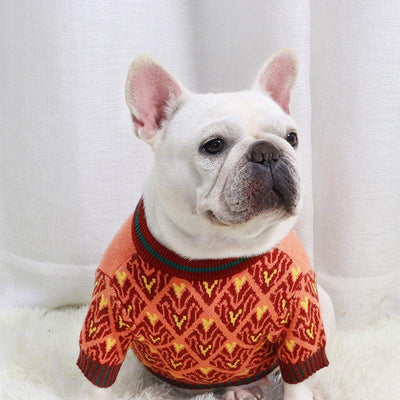 Bull Dog Fat Dog Short Sweater - Dog Hugs Cat