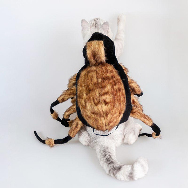 Pet Spiders Change Costumes - Dog Hugs Cat
