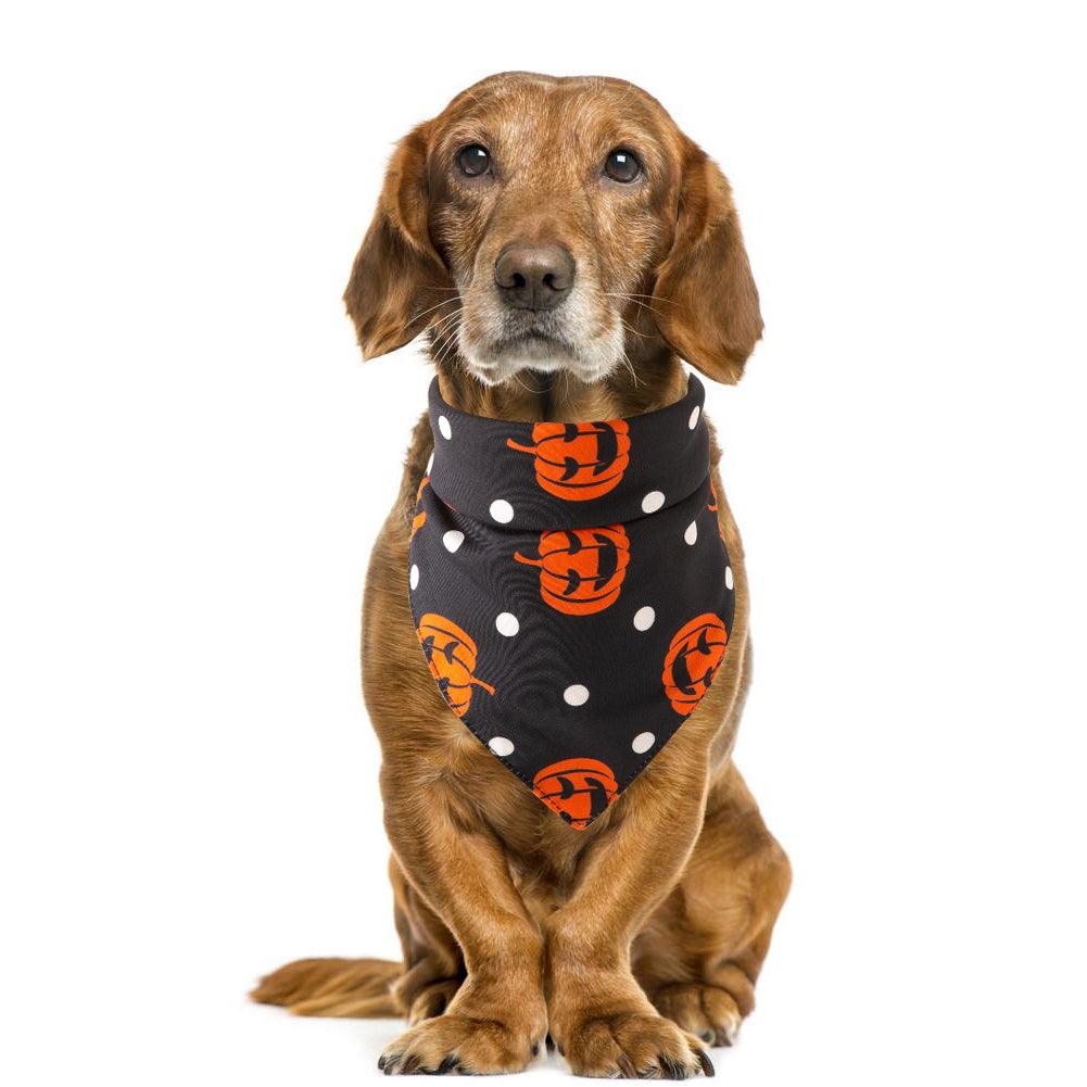 Halloween Pet Saliva Towel - Dog Hugs Cat