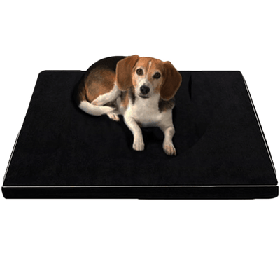 Arthur, Orthopedic Memory Foam Beds For Larger And Elderly Dogs - Dog Hugs Cat