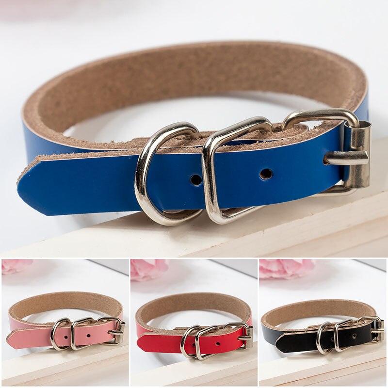 Leather Dog Collar Dog Chain - Dog Hugs Cat