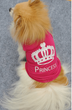 Muqgew Princess Dog Vest - Dog Hugs Cat