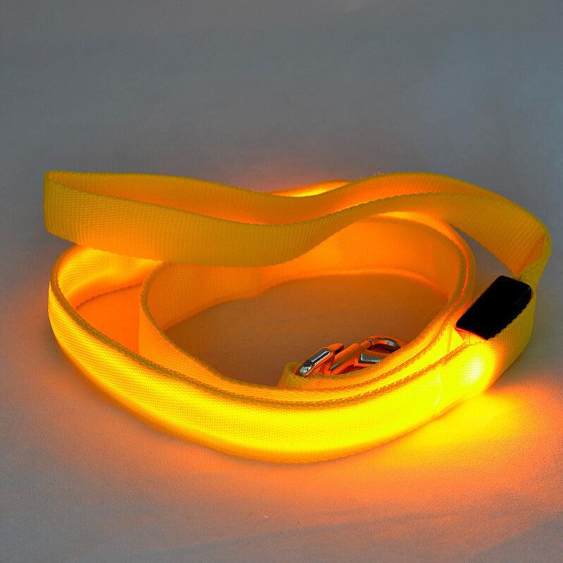 Glowing Pet Leash Glowing Dog Led - Dog Hugs Cat