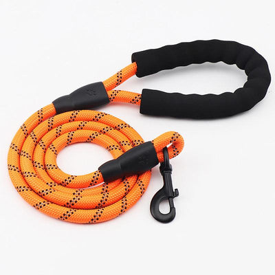 Reflective Nylon Round Rope Dog Leash - Dog Hugs Cat