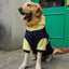 Large Dog Pet Clothes Apparel Sweater - Dog Hugs Cat
