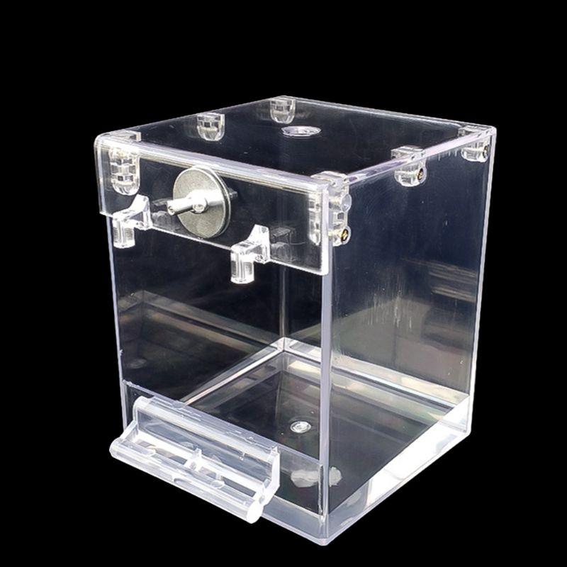 External Bird Bath Transparent Bath Square Basin Bird Supplies Pet Supplies - Dog Hugs Cat