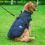 Dog Clothes Chest Back Integrated Cotton Vest Pet Cotton Clothes Winter Clothes - Dog Hugs Cat