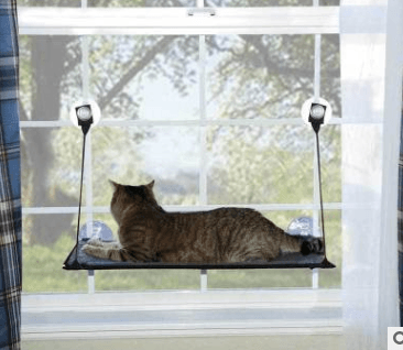 Cat Bed Cat Hammock Cat Hammock Removable And Washable Super Suction Cup Cat Pad Window Sill Cat Litter - Dog Hugs Cat