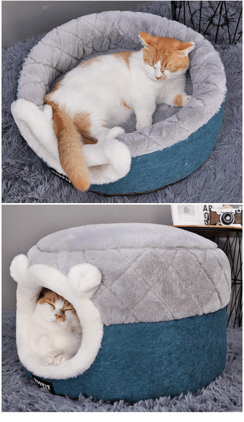 Warm Cat Litter - Dog Hugs Cat