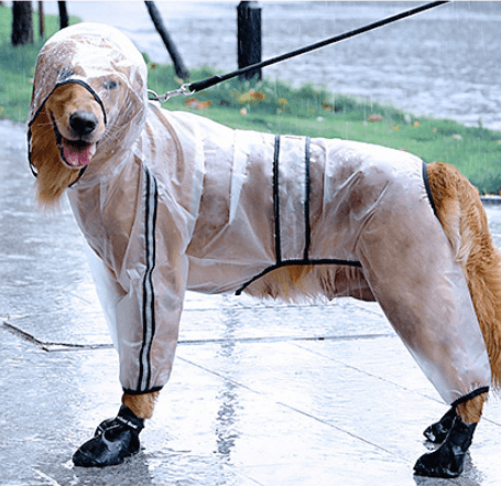 Large Dogs Go Out Waterproof Raincoat - Dog Hugs Cat