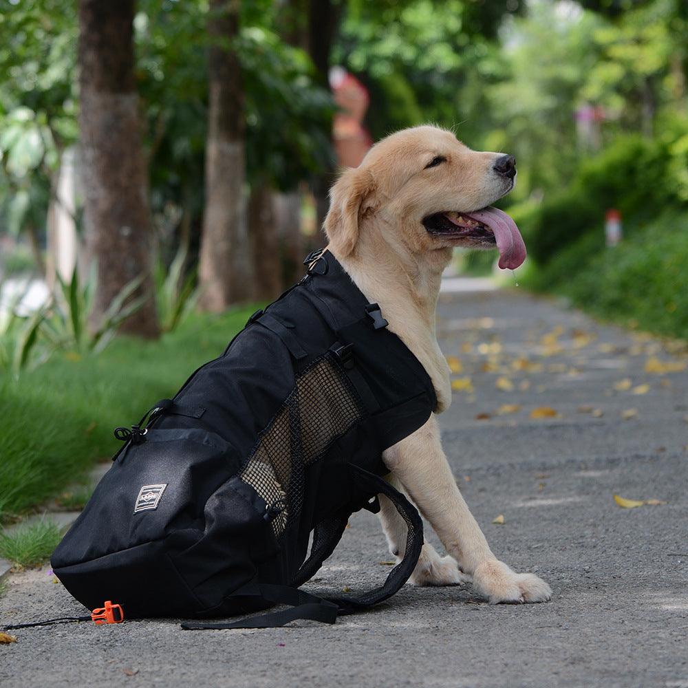 Ventilated And Breathable Pet Backpack - Dog Hugs Cat