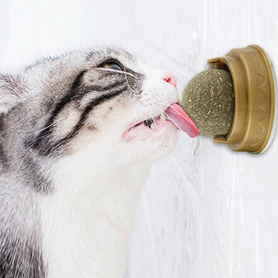 Catnip Balls Cat Treats Rotary Molar Teeth Cleaning - Dog Hugs Cat
