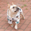 Puppy Raincoat Puppies Waterproof Bear Suit - Dog Hugs Cat