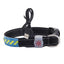 Led Light Collar Pet Collar - Dog Hugs Cat