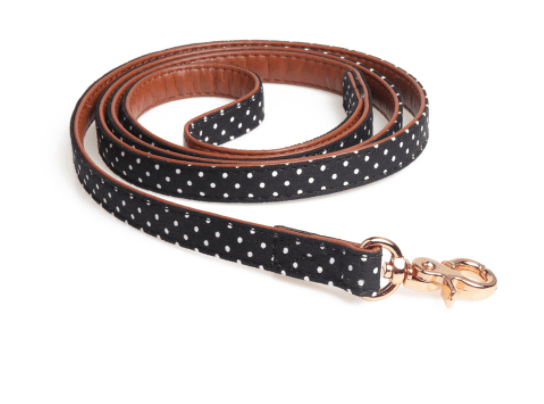 Polka Dot Dog Triangle Scarf Collar Leash Pet Pu Dog Leash - Dog Hugs Cat