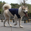 Xs-5Xl Dog Vest Dog Shirt Summer Small Medium Dog Clothes Chihuahua Tshirt - Dog Hugs Cat
