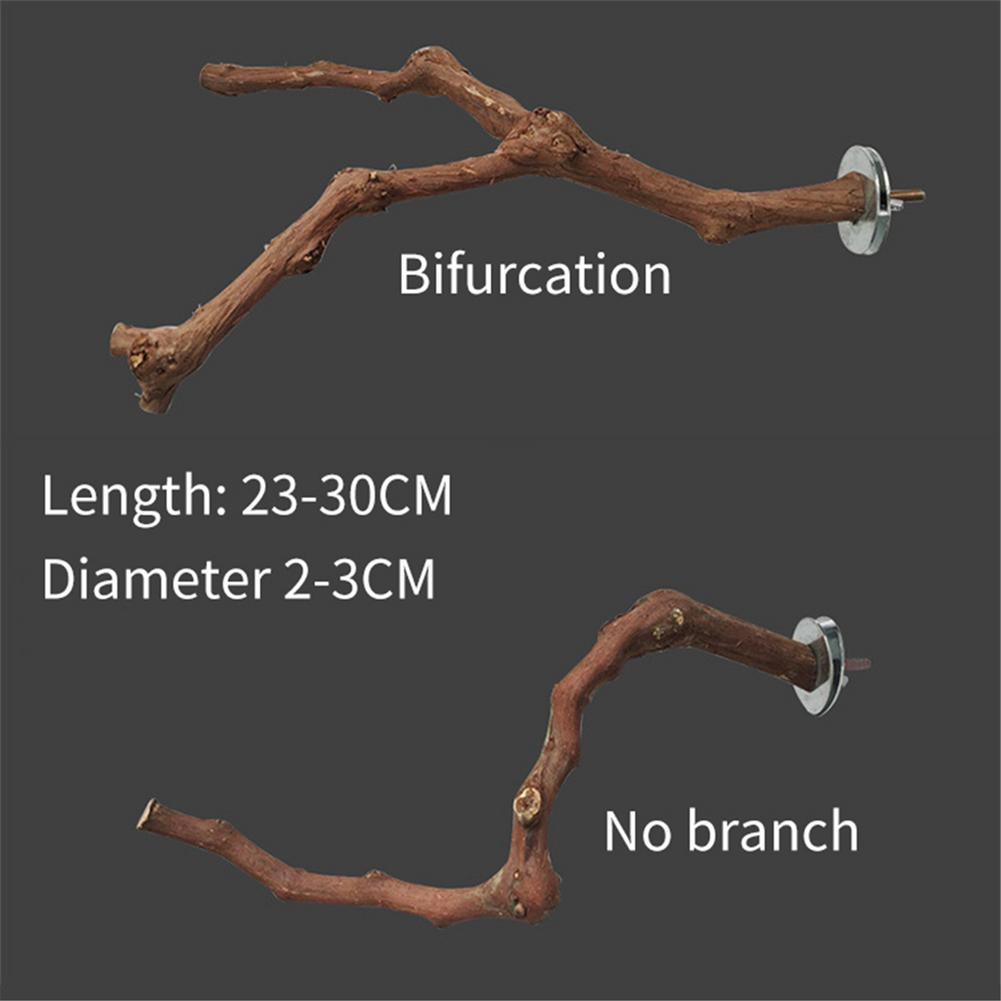 Bird Standing Stick Wild Grape Wood Grinding Claw Stick Perching Stick - Dog Hugs Cat