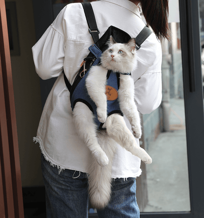 Portable Cat Backpack For Spring Outing - Dog Hugs Cat