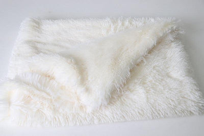 Plush Pet Mat Double Pet Blanket - Dog Hugs Cat