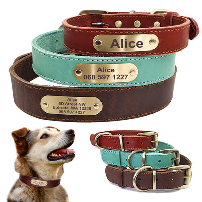 Personalized Dog Collars With Nameplate Id Tags For Medium Large Dogs - Dog Hugs Cat