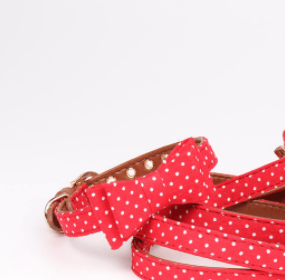 Polka Dot Dog Triangle Scarf Collar Leash Pet Pu Dog Leash - Dog Hugs Cat