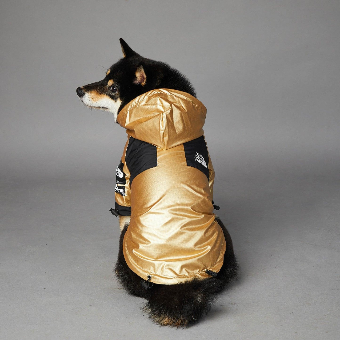 Dog Large Dog Raincoat Pet Jacket - Dog Hugs Cat