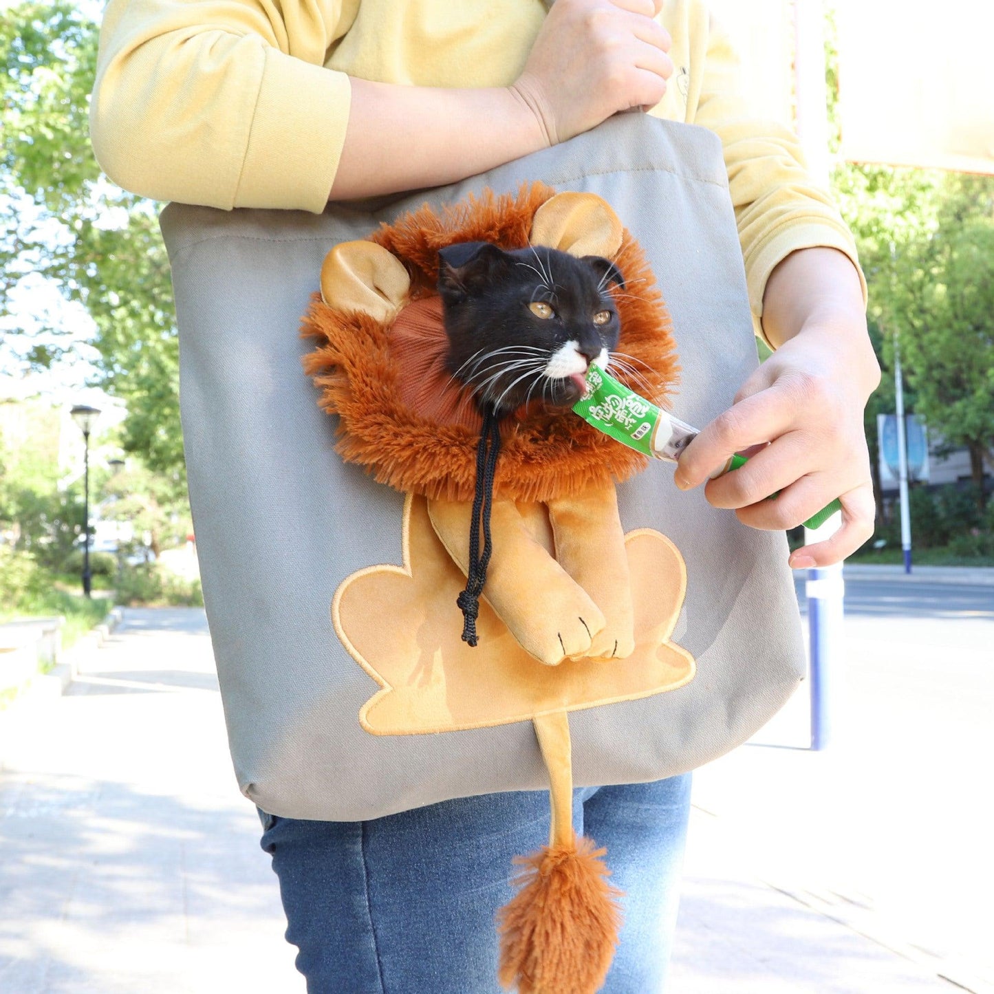 Soft Pet Carriers Lion Design Portable Breathable Bag Cat Dog Carrier Bags Outgoing Travel Pets Handbag With Safety Zippers - Dog Hugs Cat