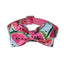 Pet Supplies Dog Collar Pet Leash - Dog Hugs Cat