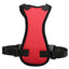 Car Seat Belts For Pets - Dog Hugs Cat